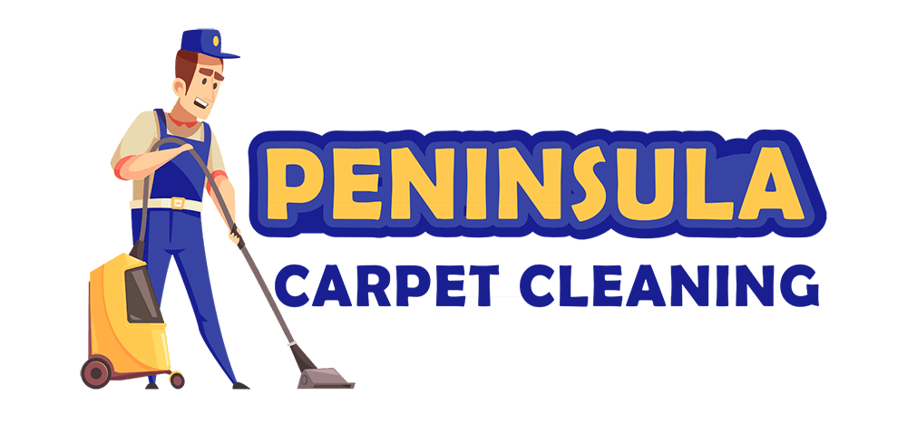 Carpet Cleaning Brisbane North