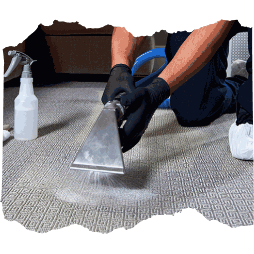 use steam to remove spot on carpet