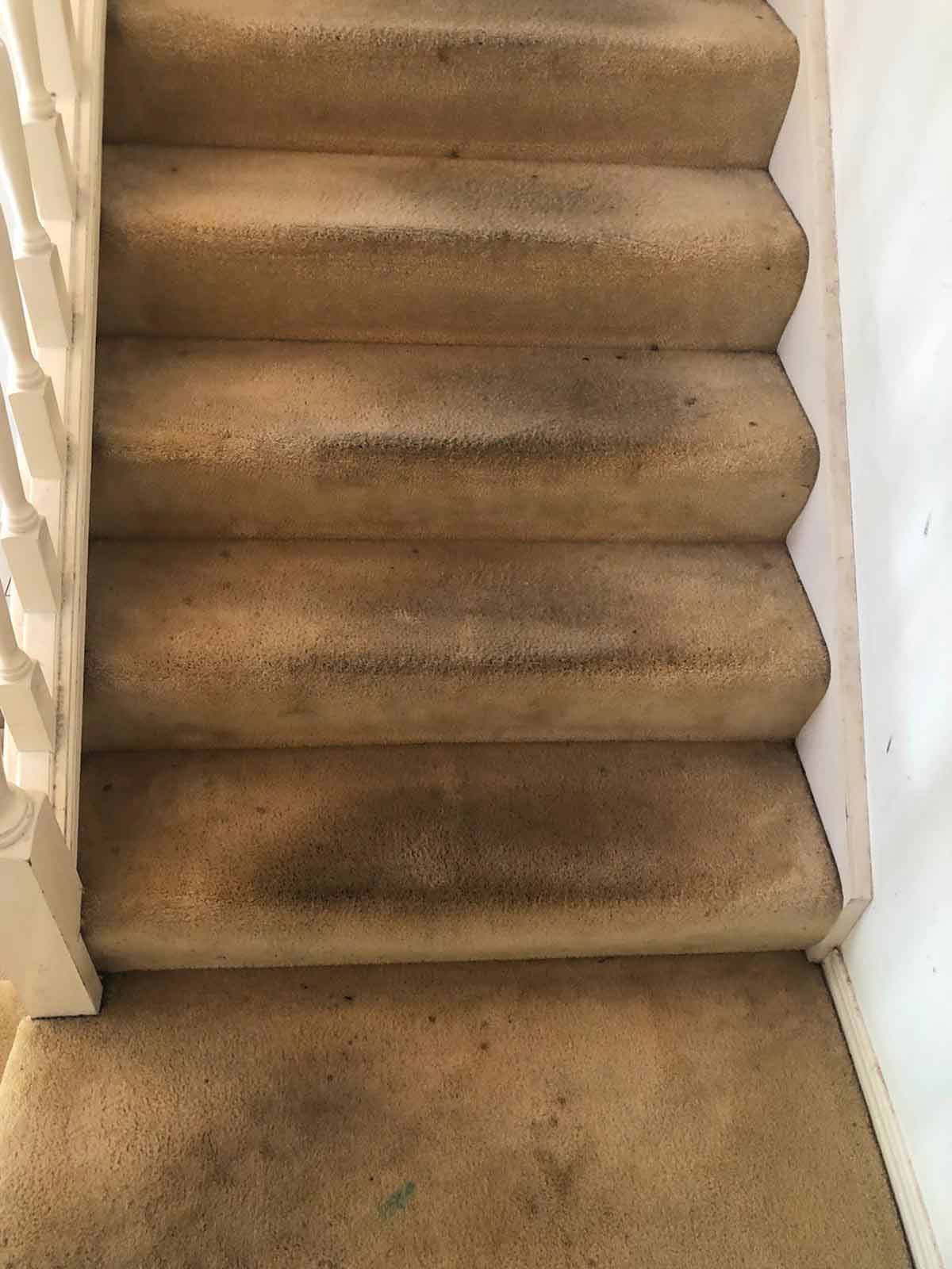 Stairs Carpet Cleaning Required