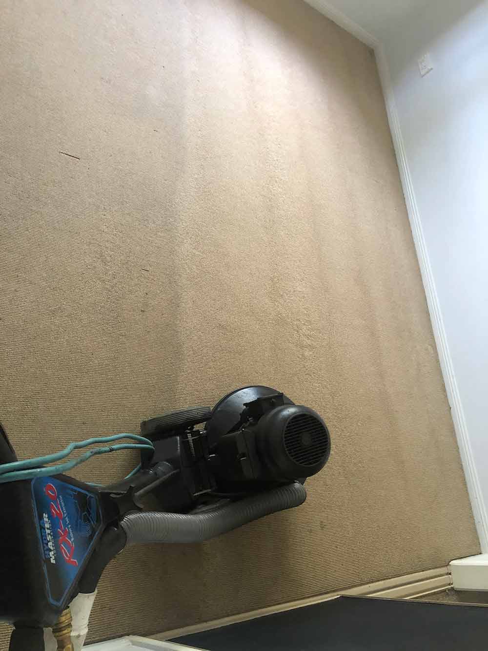 Carpet Steam Cleaning