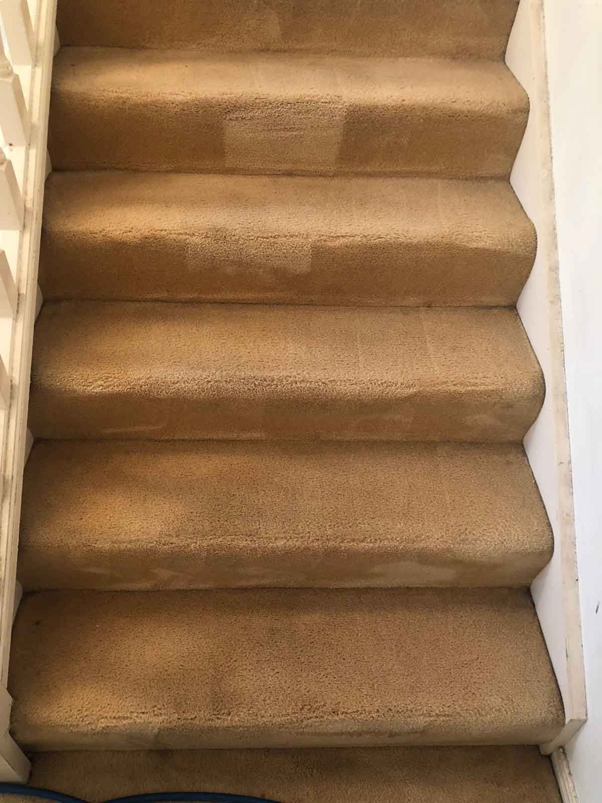 Stairs Carpet Cleaning